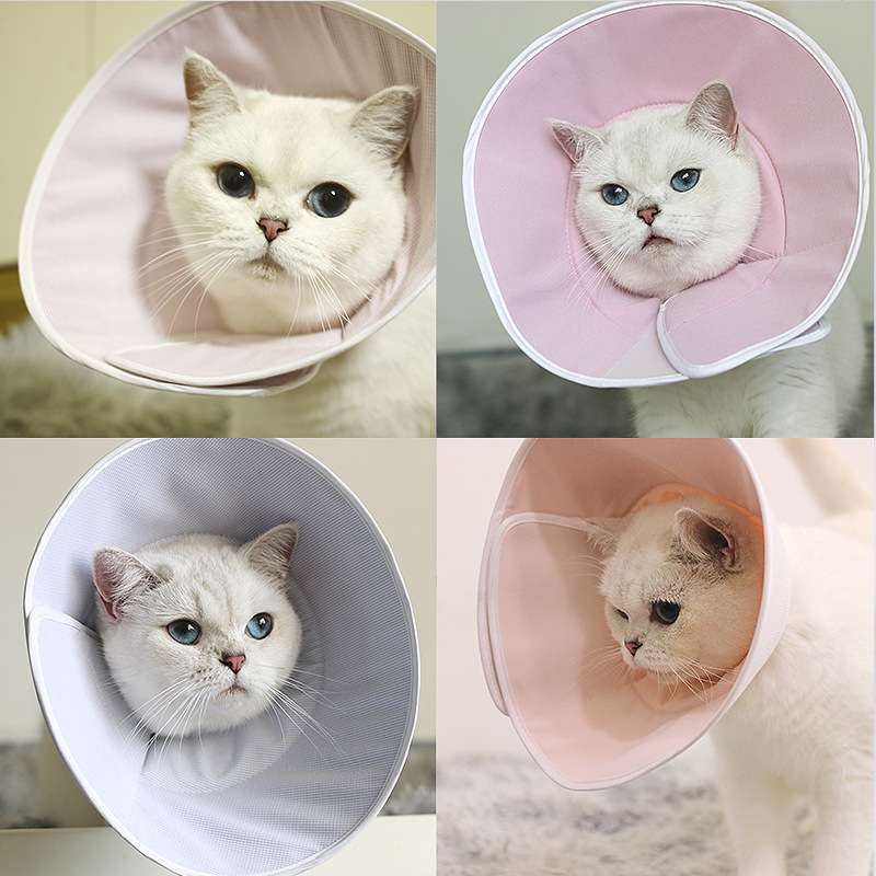猫服 猫 エリザベスカラー | ふわふわパステル猫用エリザベスカラー