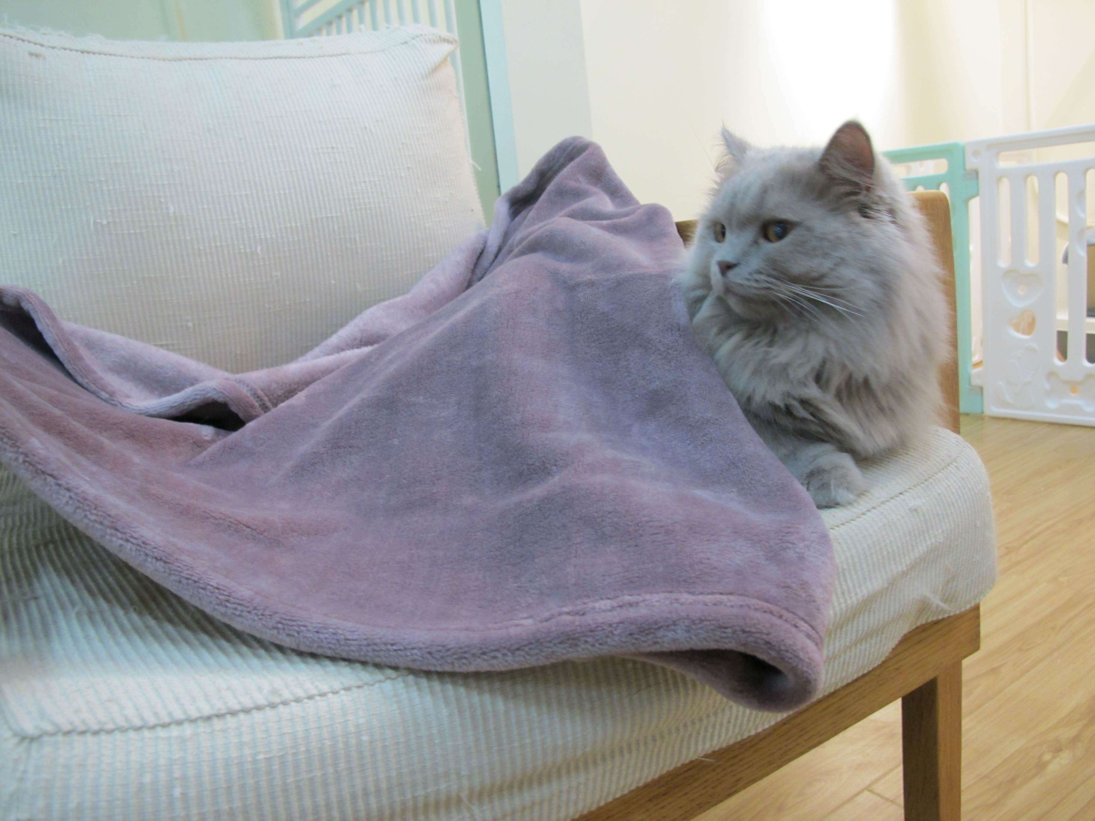 猫服  防寒服 | もこもこ猫用タートルネック防寒ウェア