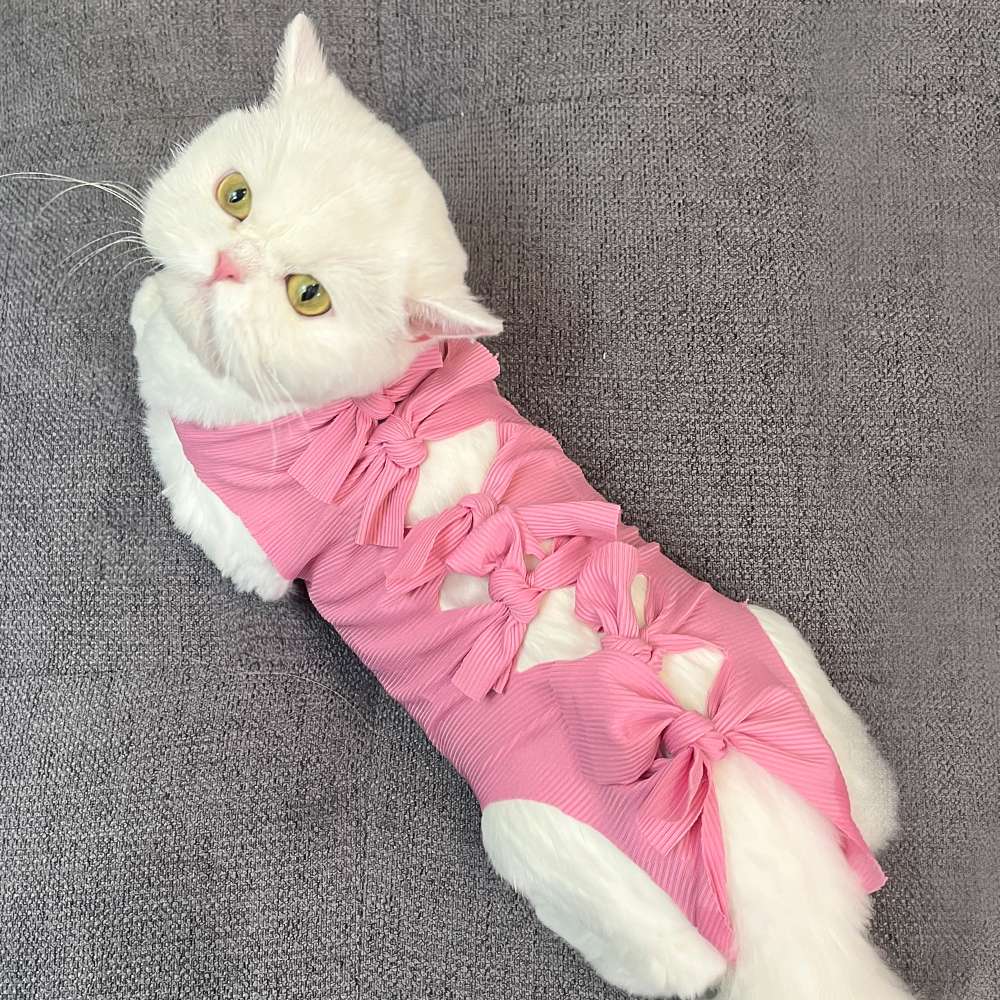 猫服  術後服 | もふもふ猫ちゃんの癒しリボン術後服