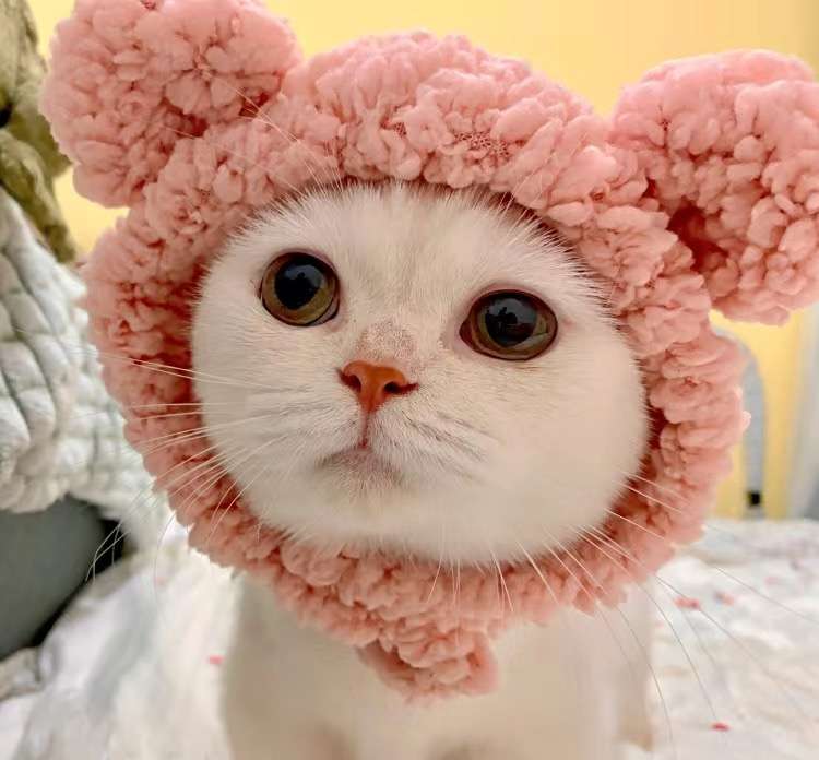 猫服  帽子 | もふもふアニマル変身帽子セット