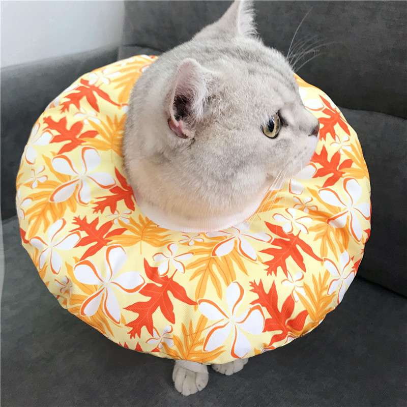 猫服 猫 エリザベスカラー | 猫用かわいいイラスト柄エリザベスカラー