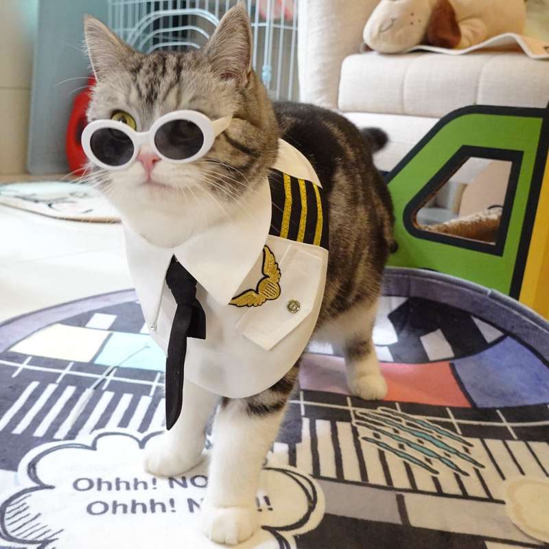 猫服  コスプレ | 猫用パイロット制服コスプレセット