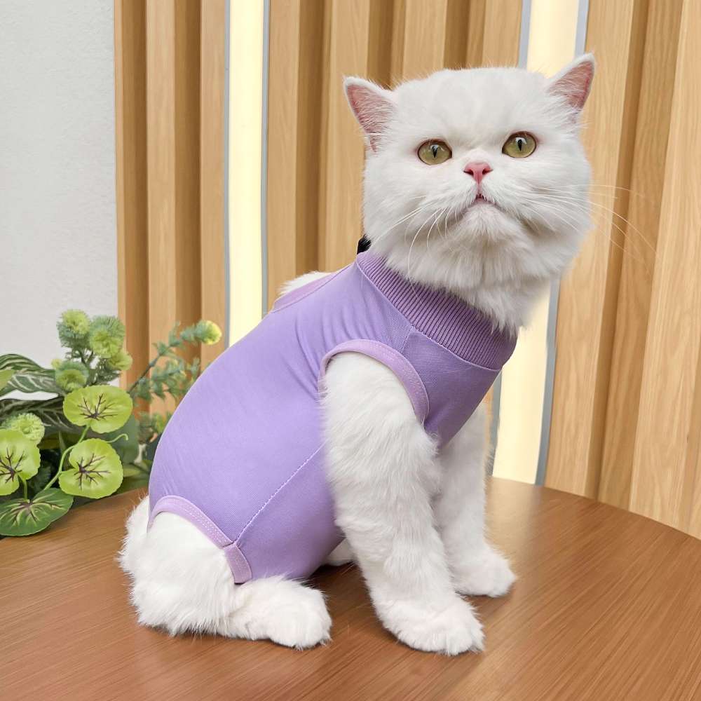 猫服  術後服 | 猫用カラフル術後服 快適ケアウェア