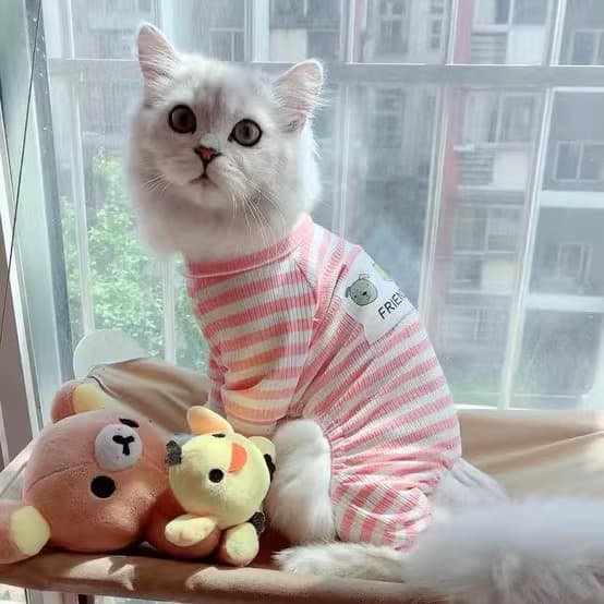 猫服 ぽんぽんしっぽ付きボーダー猫用パジャマ