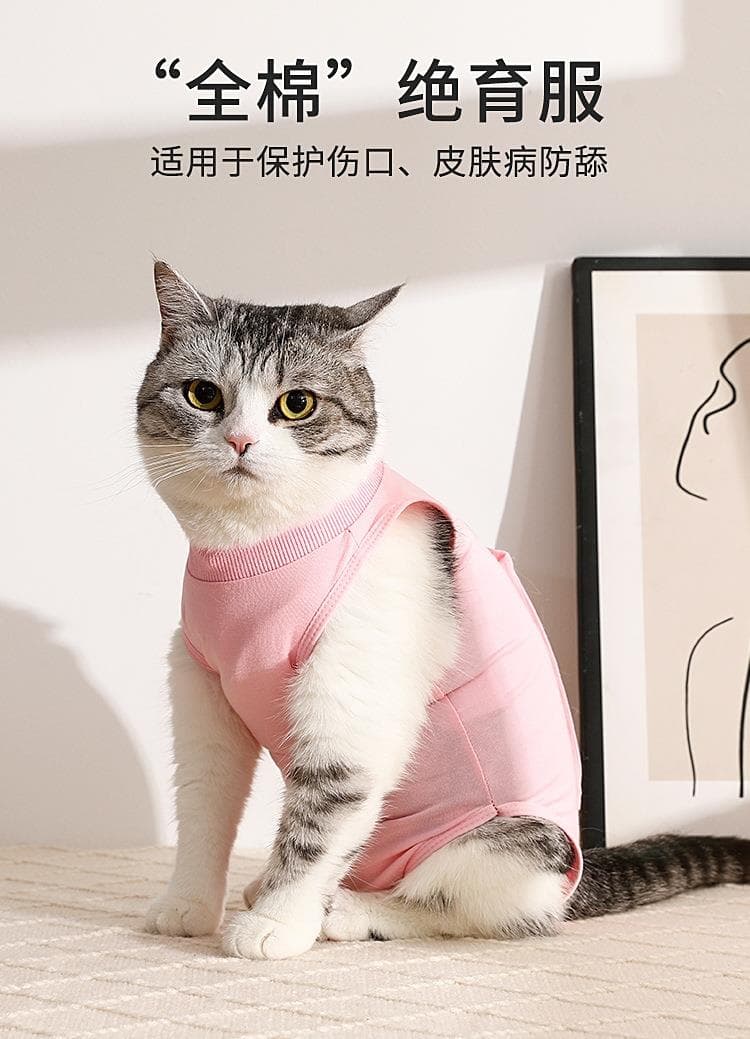 猫服  洋服 | やわらか着心地のタートルネック