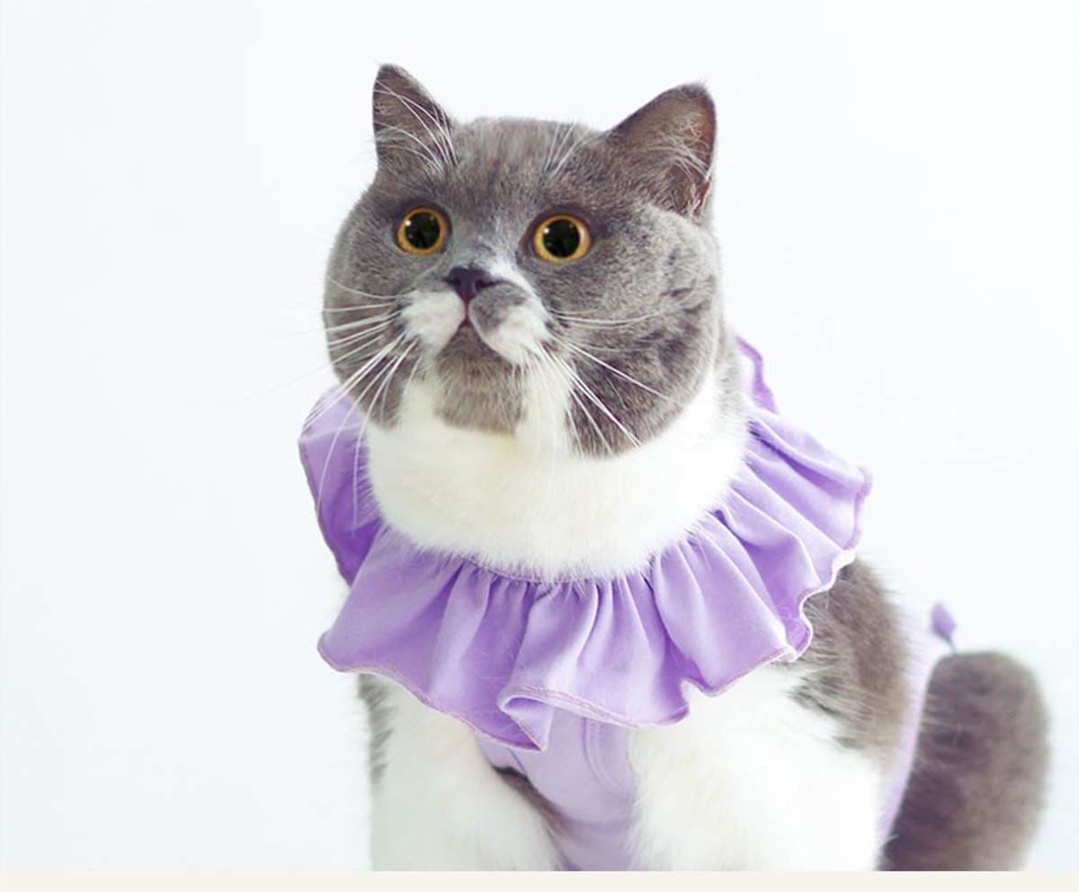 猫服  術後服 | ふんわりフリル付き猫用術後服
