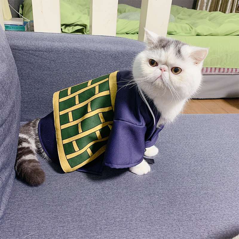 猫服  コスプレ | おしゃれな和風のコスプレ！侍スタイルに大変身！