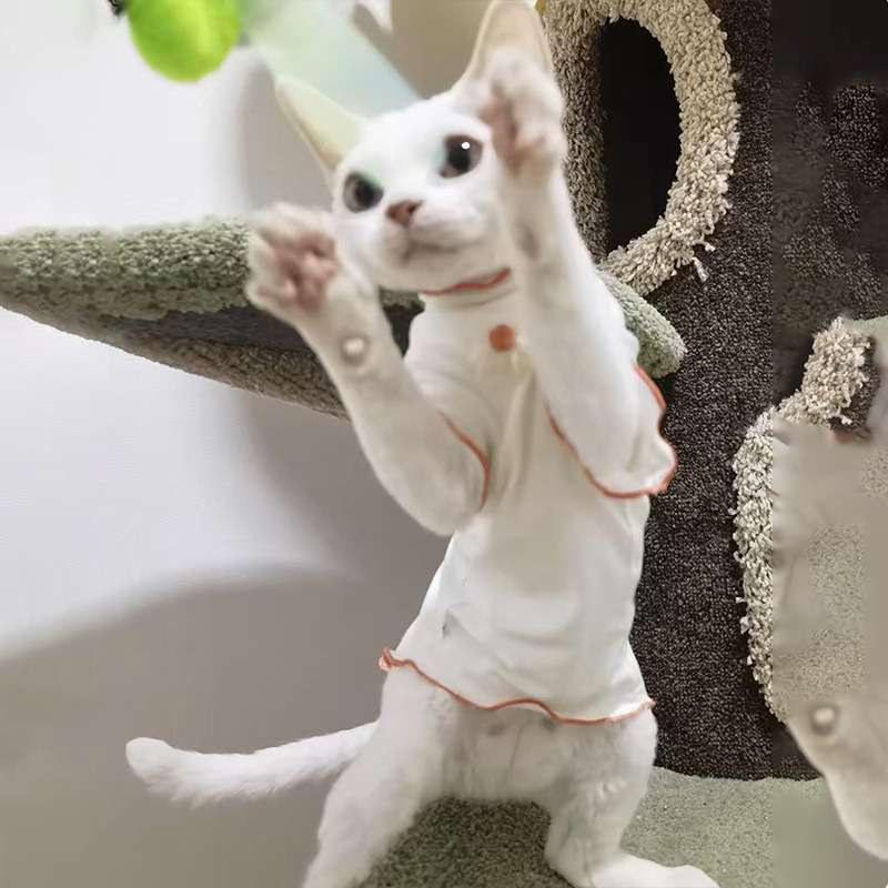 猫服  洋服 | 猫用フリルトリムロンパース