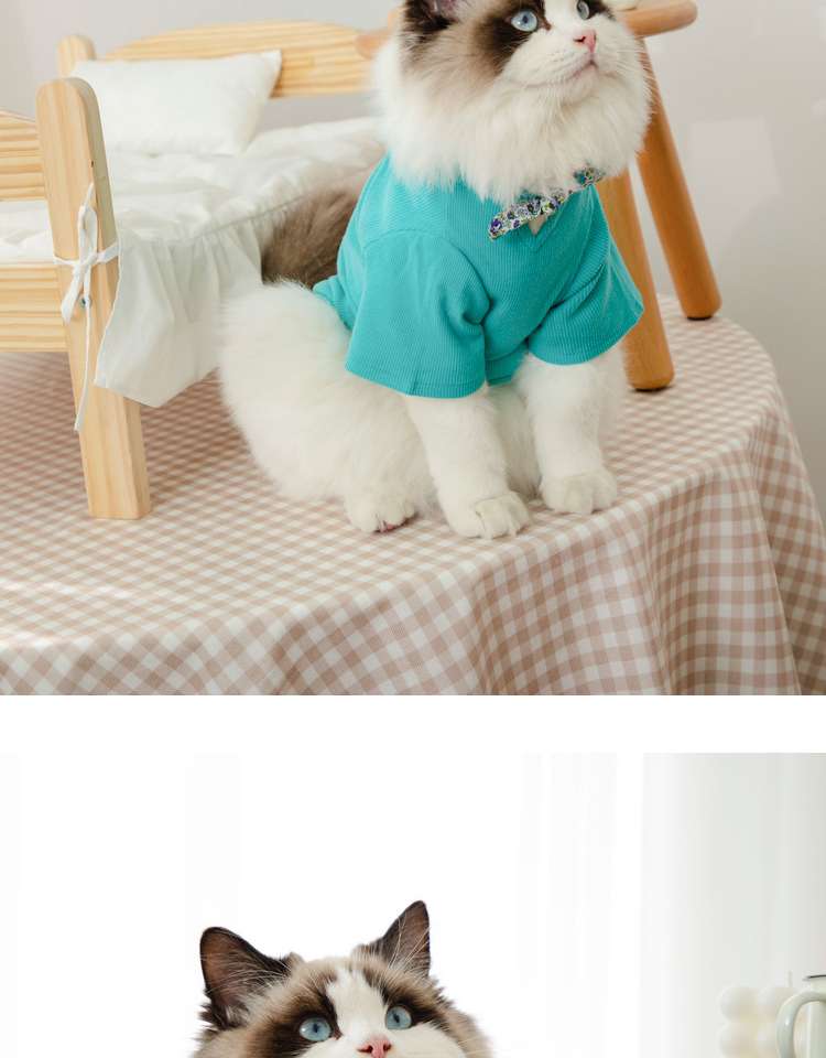 猫服  洋服 | ふわもこ猫ちゃんの季節のお洒落トップス