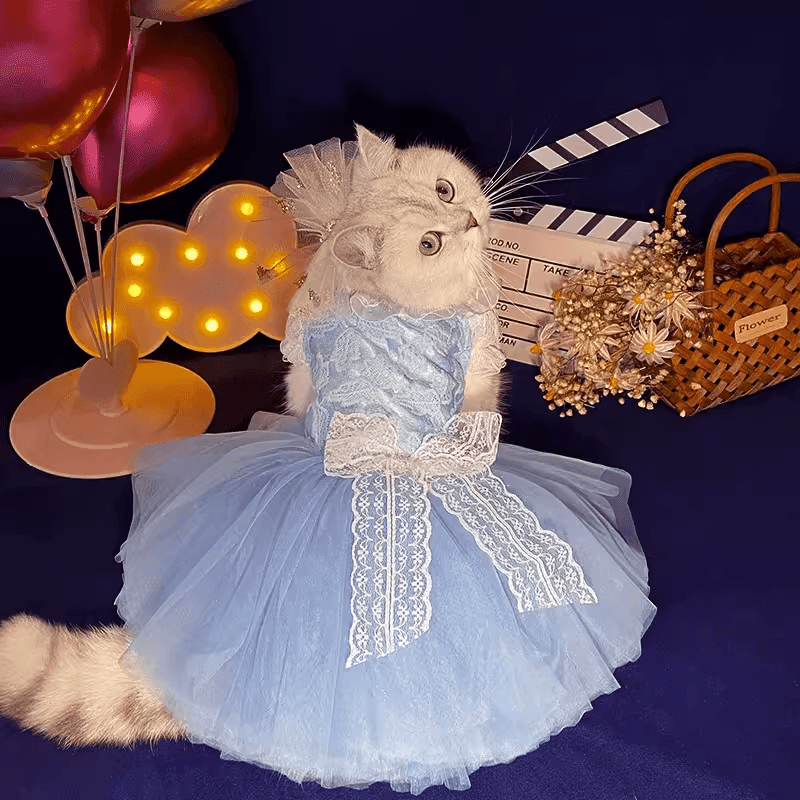 猫服  レース付きチュールドレス