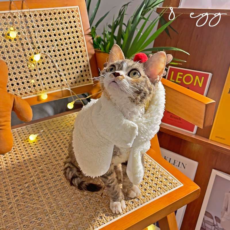 猫服  コスプレ | ペット用ホリデーコスチューム3点セット