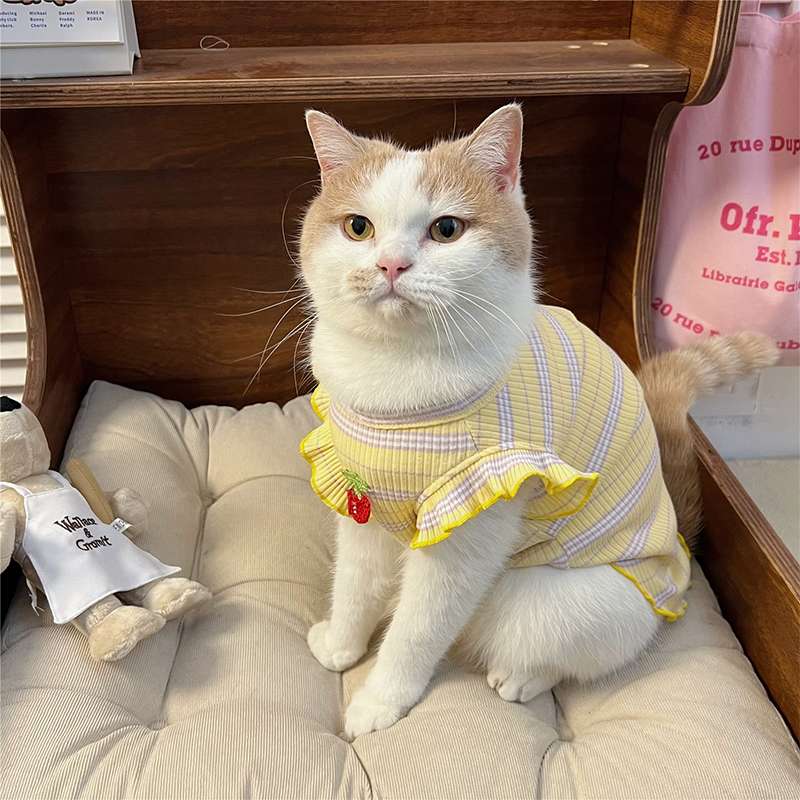 猫服  洋服 | フリル付きリブタンクトップ