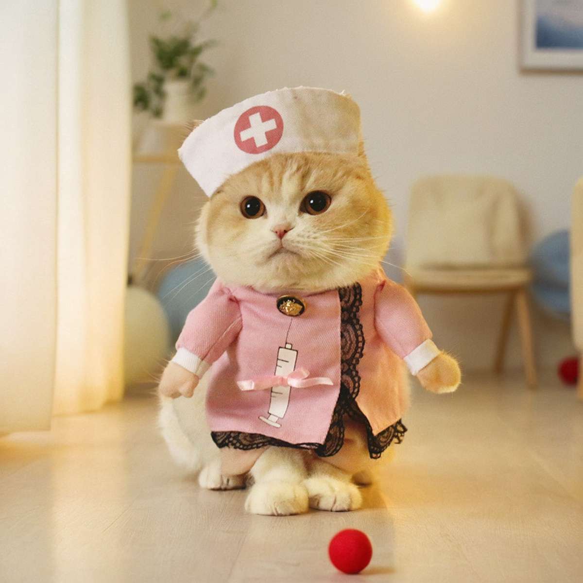 猫服  コスプレ | 猫用職業コスチューム3点セット