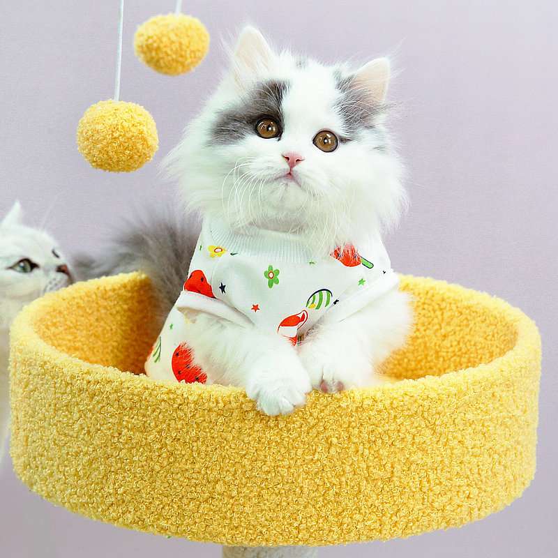 猫服  洋服 | ねこちゃん用フルーツ柄パジャマ