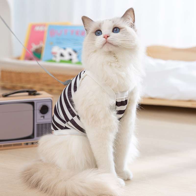 猫服  洋服 | 可愛いクマさん縞模様ベスト