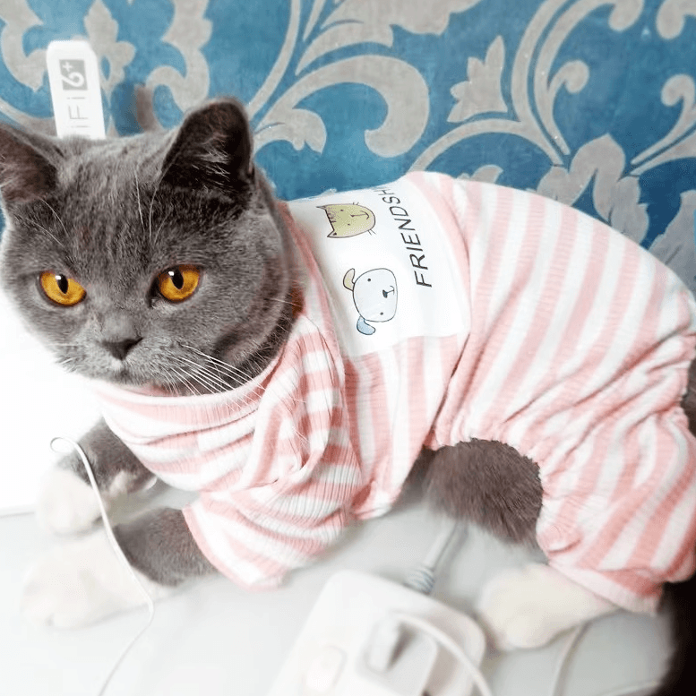 猫服  防寒服 | もこもこあったか猫ちゃん用フレンドシップつなぎ