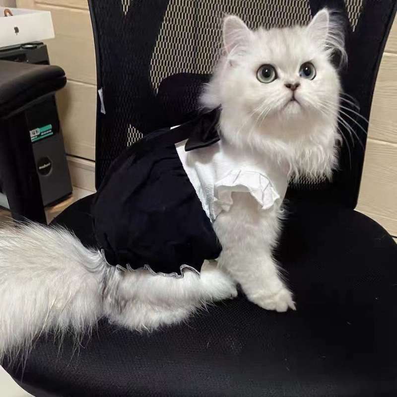 猫服  コスプレ | 執事風メイド服キャットウェア