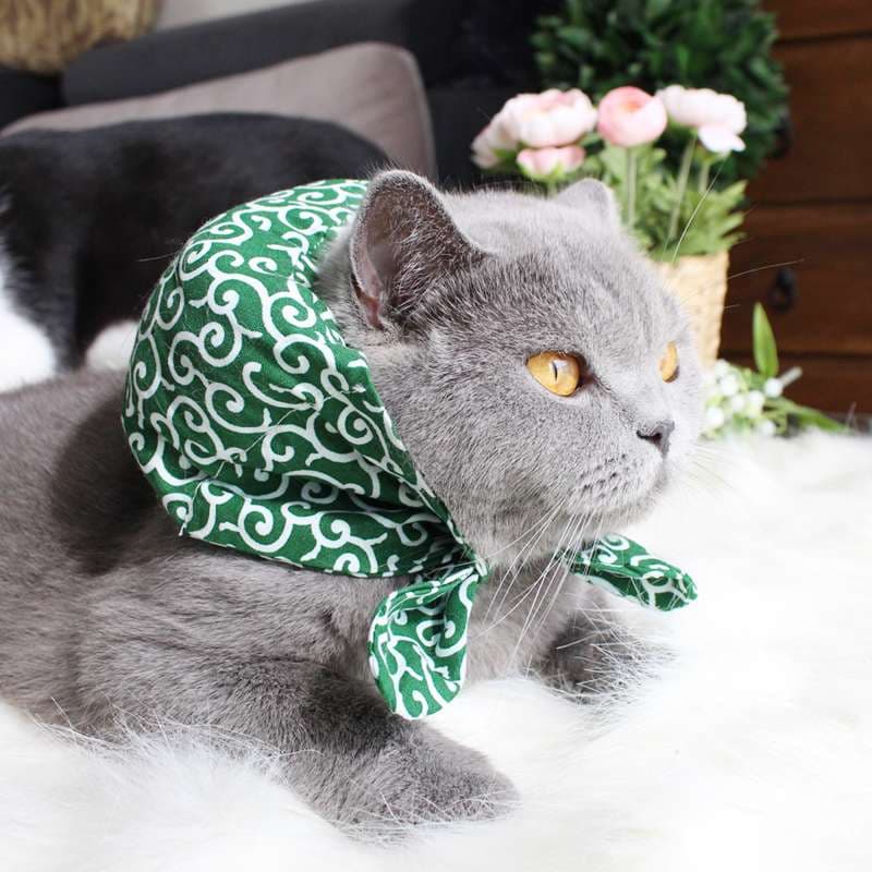 猫服  帽子 | 和風モダン猫用バンダナキャップ