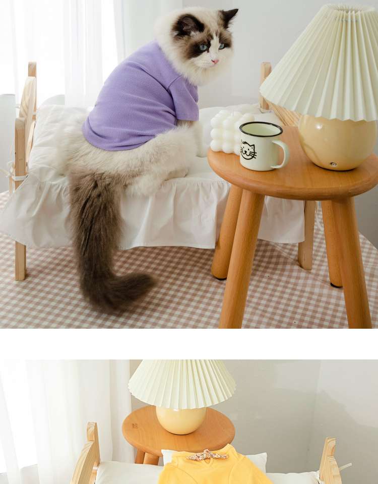 猫服  洋服 | ふわもこ猫ちゃんの季節のお洒落トップス