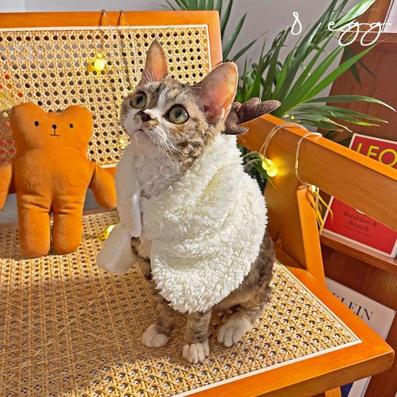 猫服  コスプレ | ペット用ホリデーコスチューム3点セット