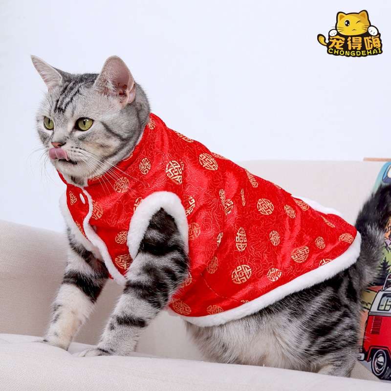 猫服  防寒服 | 福々招き猫のお正月マント