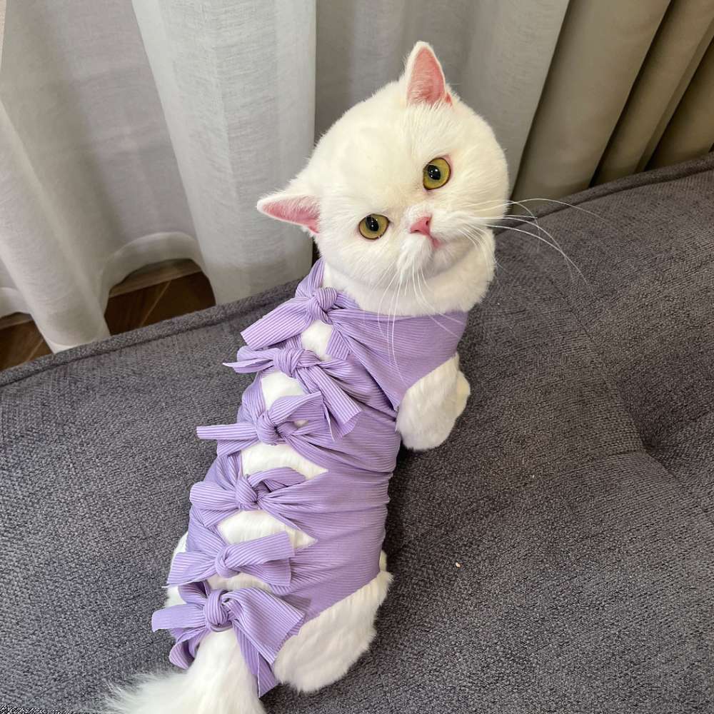 猫服  術後服 | もふもふ猫ちゃんの癒しリボン術後服