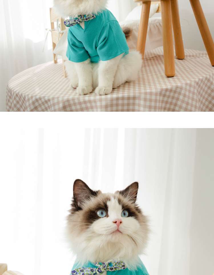 猫服  洋服 | ふわもこ猫ちゃんの季節のお洒落トップス
