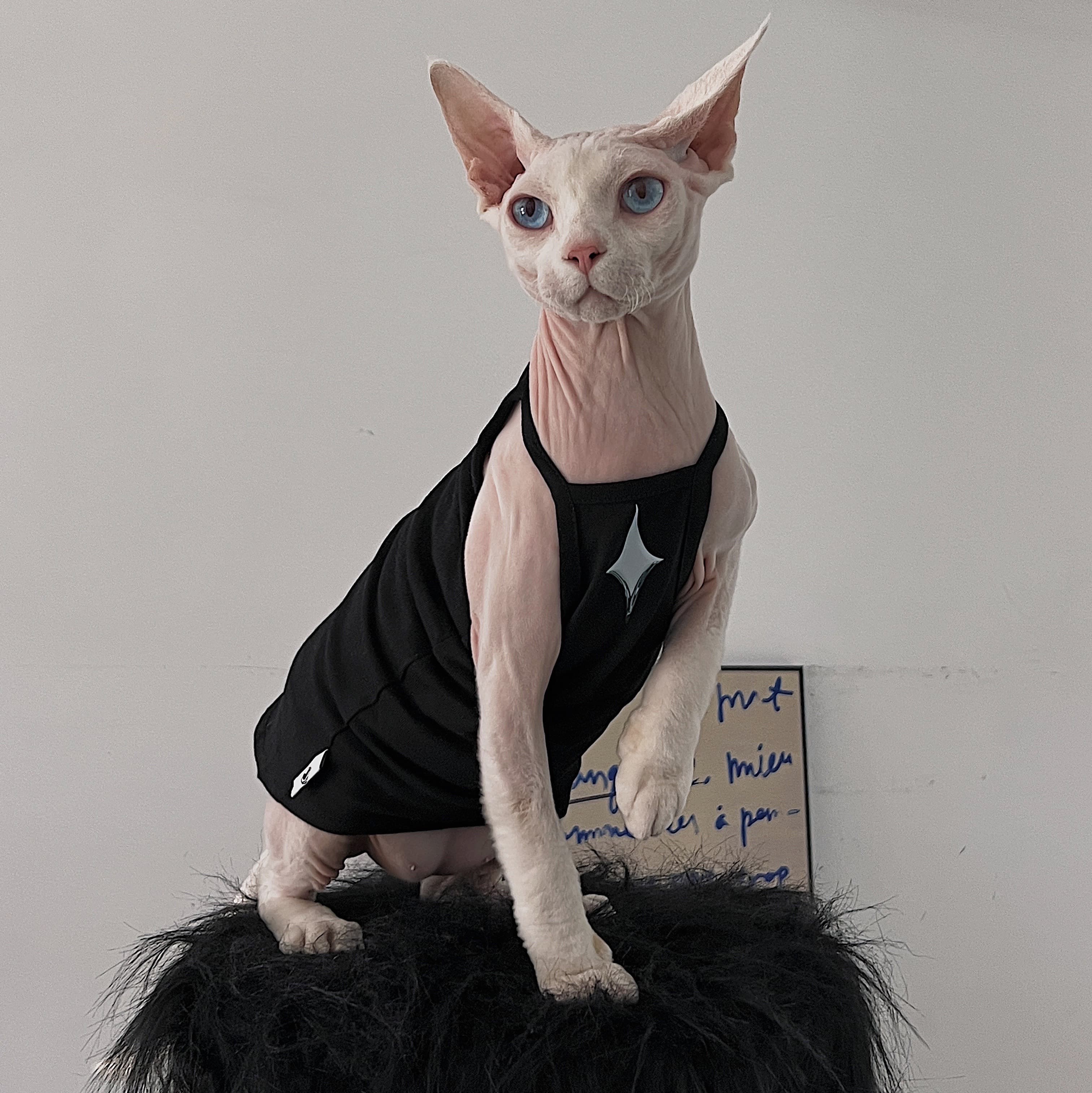 猫服  洋服 | シンプル タンクトップ
