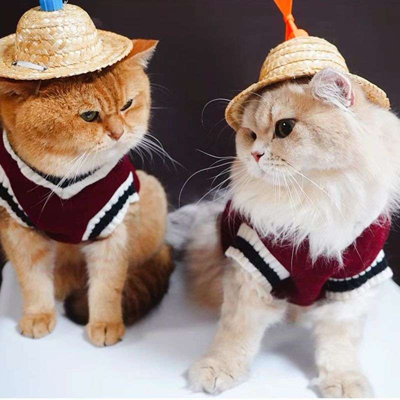 猫服  洋服 | ペット用おしゃれベスト