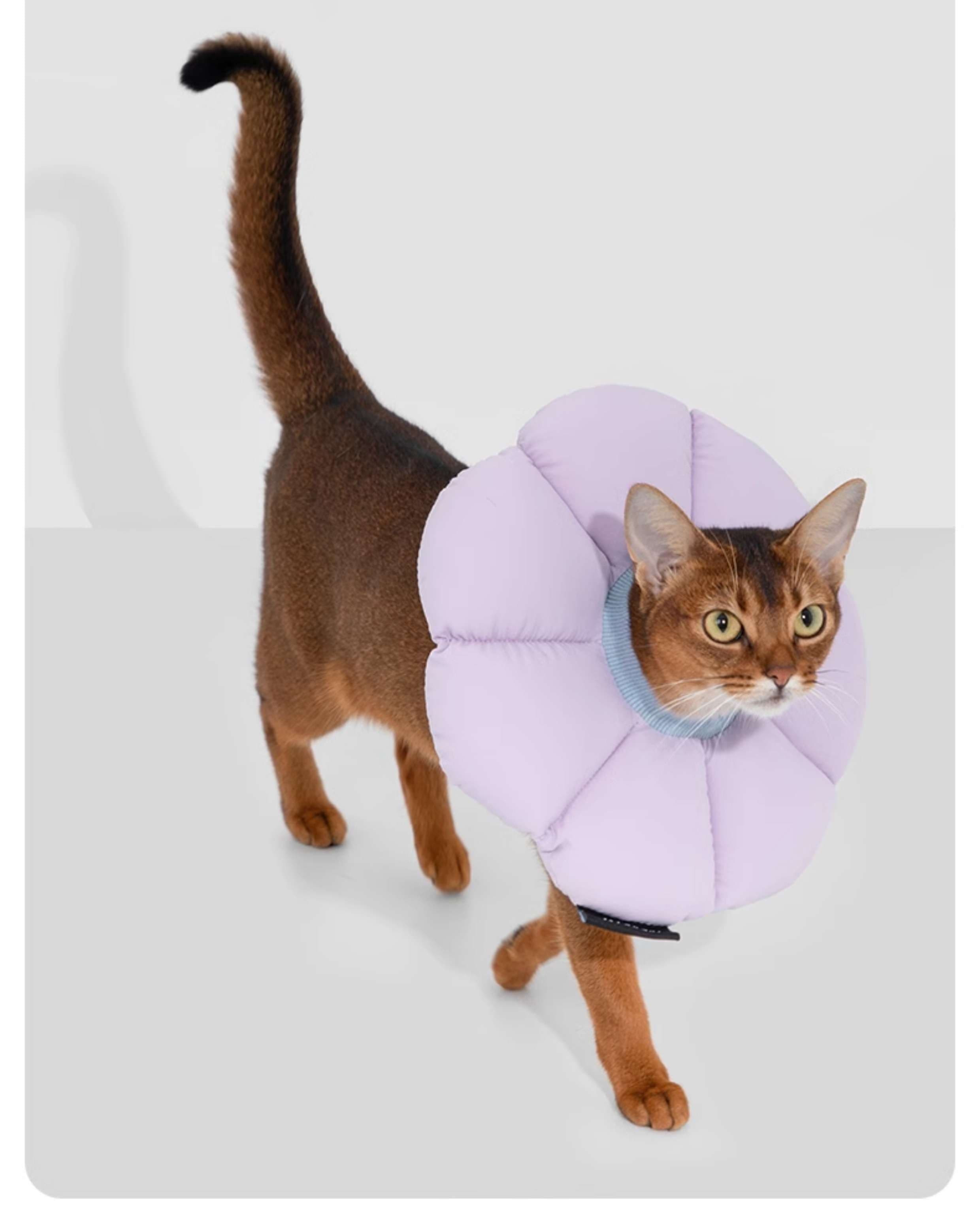 猫服 猫 エリザベスカラー | ふわもこ花びらエリザベスカラー