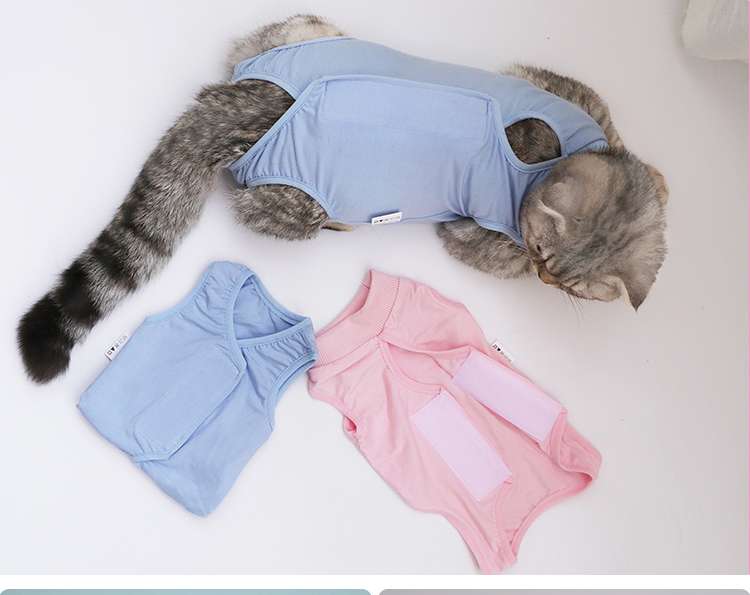 猫服  術後服 | ふわもこ猫ちゃん術後ウェア