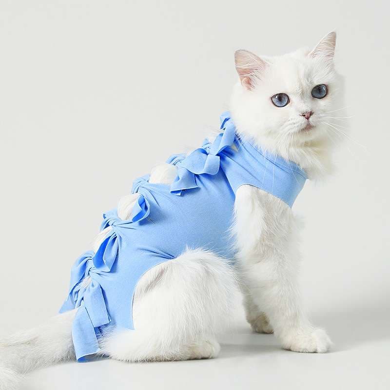 猫服  術後服 | モフモフ猫ちゃんの可愛いリボン術後服