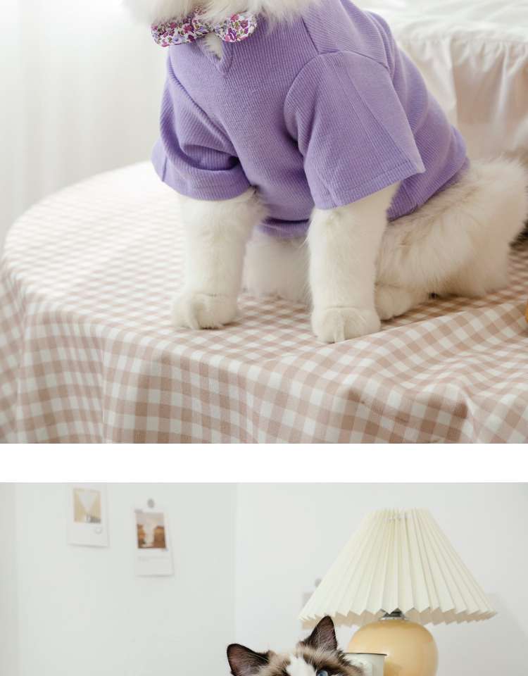 猫服  洋服 | ふわもこ猫ちゃんの季節のお洒落トップス