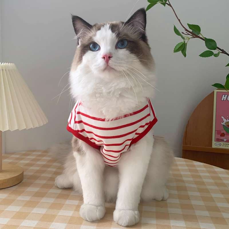 猫服  洋服 | ふわもこ猫用マリンボーダー