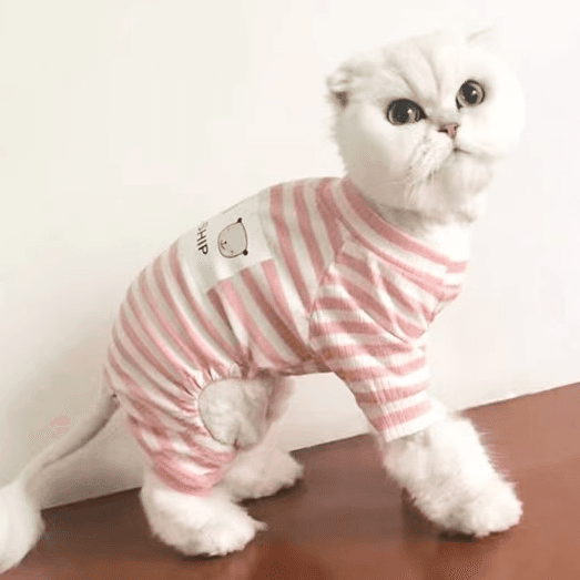 猫服  防寒服 | もこもこあったか猫ちゃん用フレンドシップつなぎ