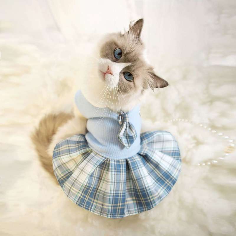 猫服  コスプレ | ふわふわ猫ちゃんのお嬢様ワンピース