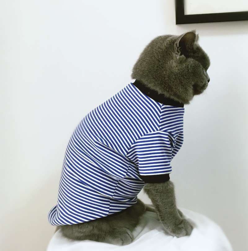 猫服 猫用マリン風ボーダー長袖シャツ