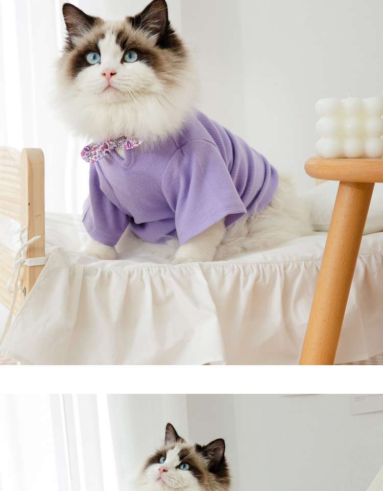 猫服  洋服 | ふわもこ猫ちゃんの季節のお洒落トップス