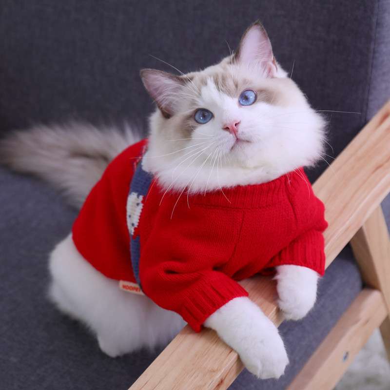 猫服  防寒服 | もこもこペット用クリスマスセーター