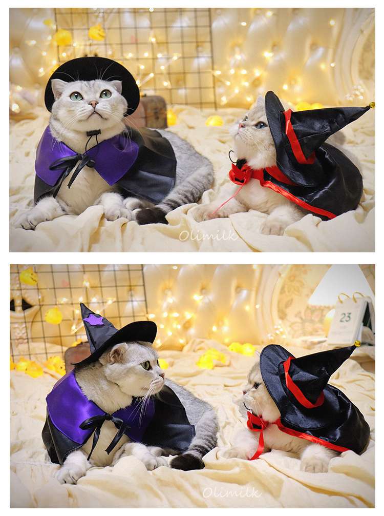 猫服  コスプレ | ハロウィン魔法使い猫コスチュームセット