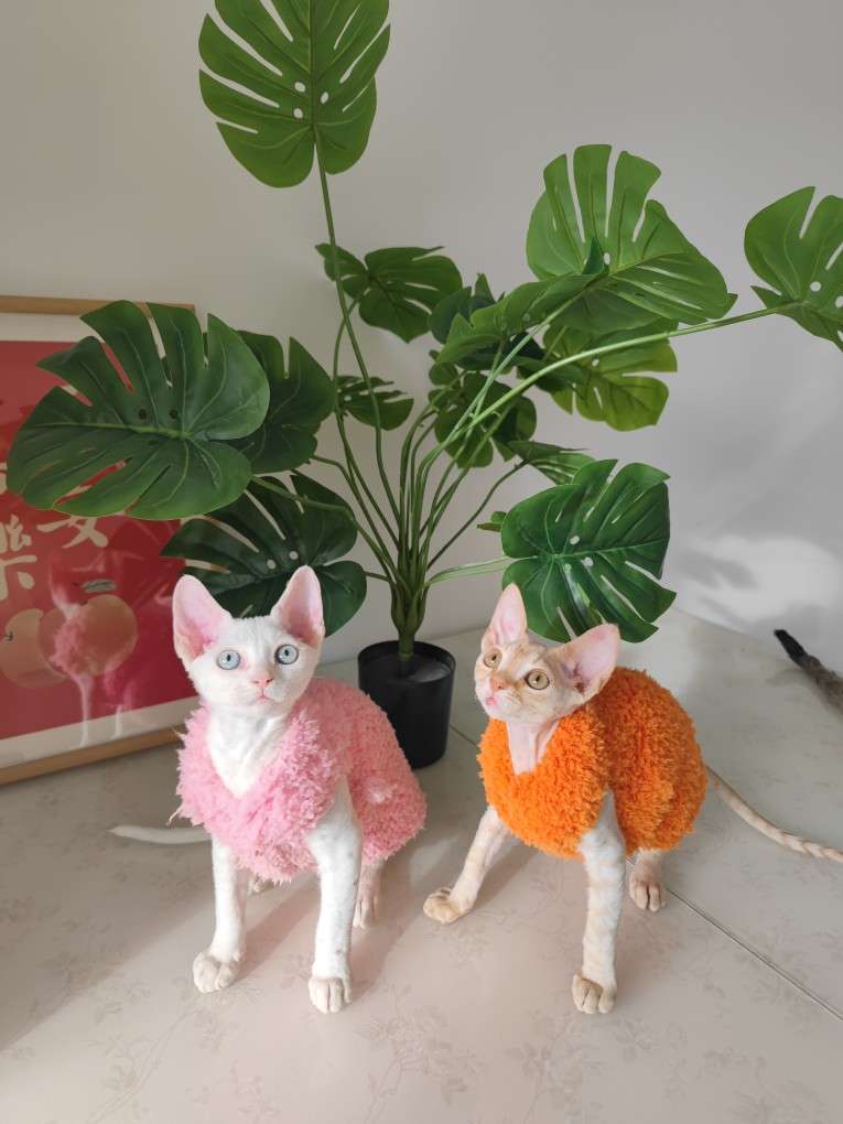 猫服  スフィンクス | モコモコあったかスフィンクスキャットウェア