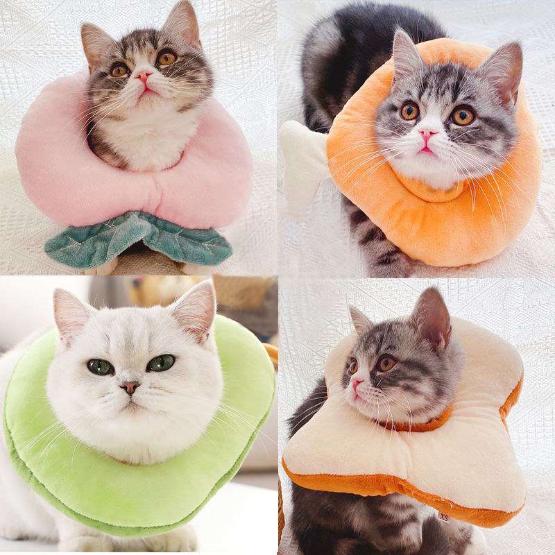 猫服 猫 エリザベスカラー | もふもふペット用食パンカラー