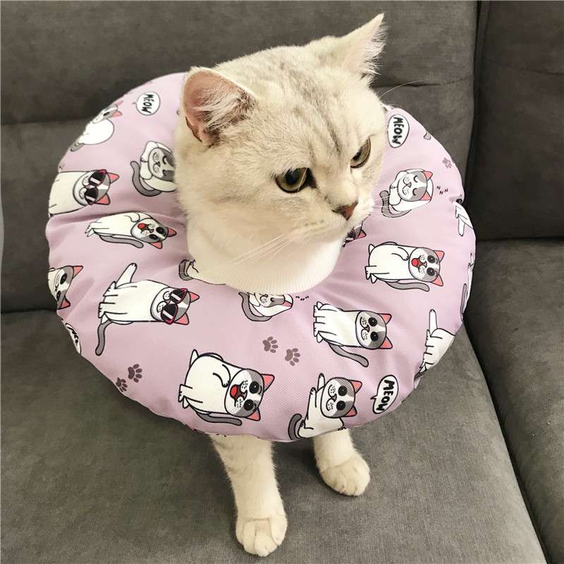 猫服 猫 エリザベスカラー | 猫用かわいいイラスト柄エリザベスカラー