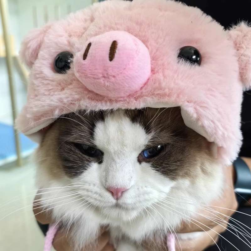 猫服  コスプレ | もこもこブタちゃん猫用コスチューム