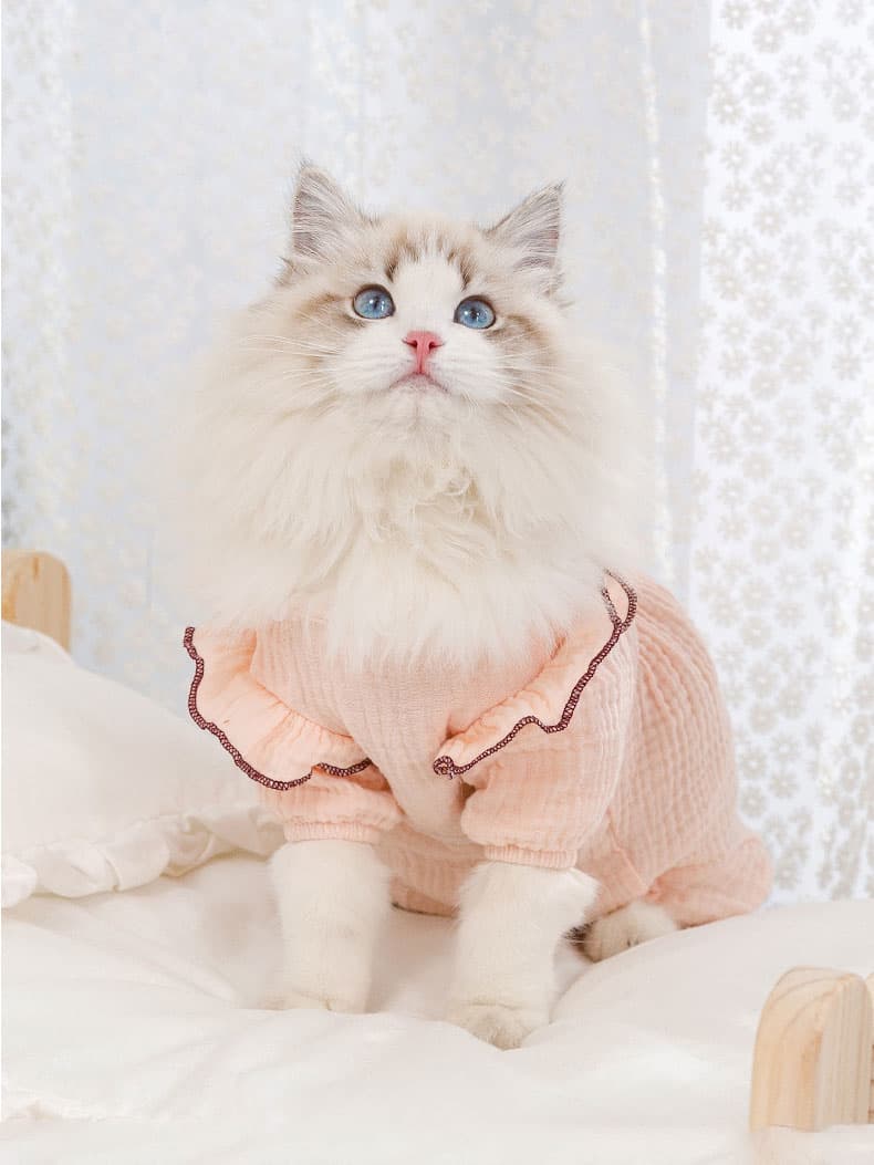 猫服  洋服 | お姫様風フリルオーバーオール