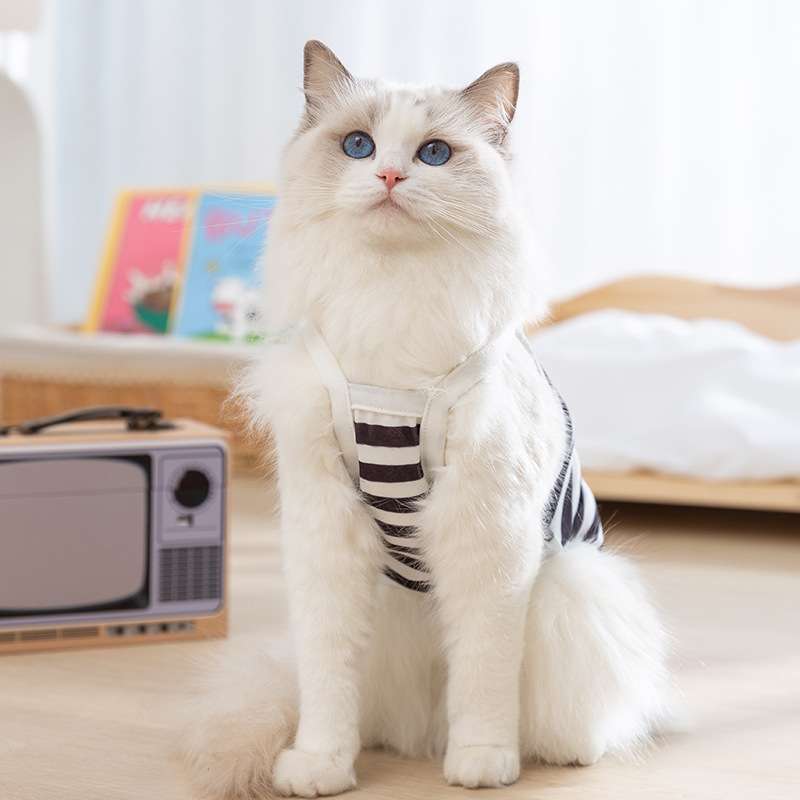 猫服  洋服 | 可愛いクマさん縞模様ベスト