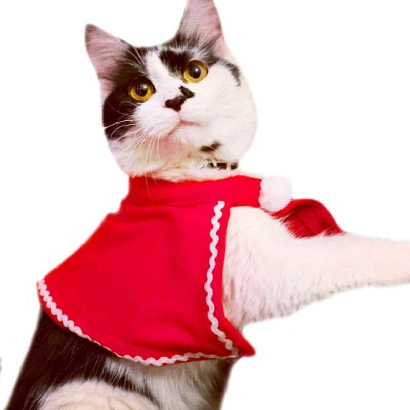 猫服  コスプレ | ねこ用クリスマス変身セット