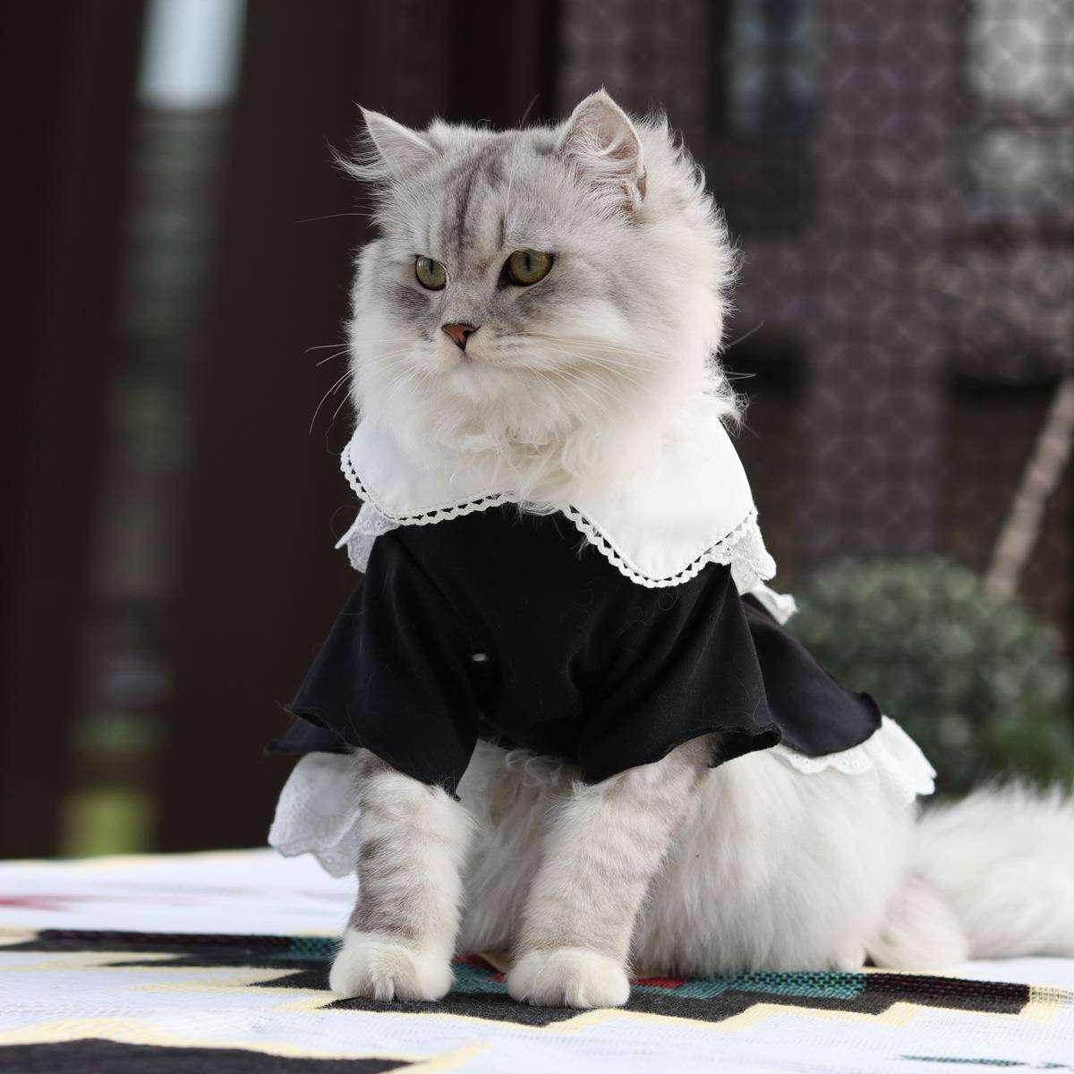 猫服  コスプレ | メイド風猫用コスチュームセット