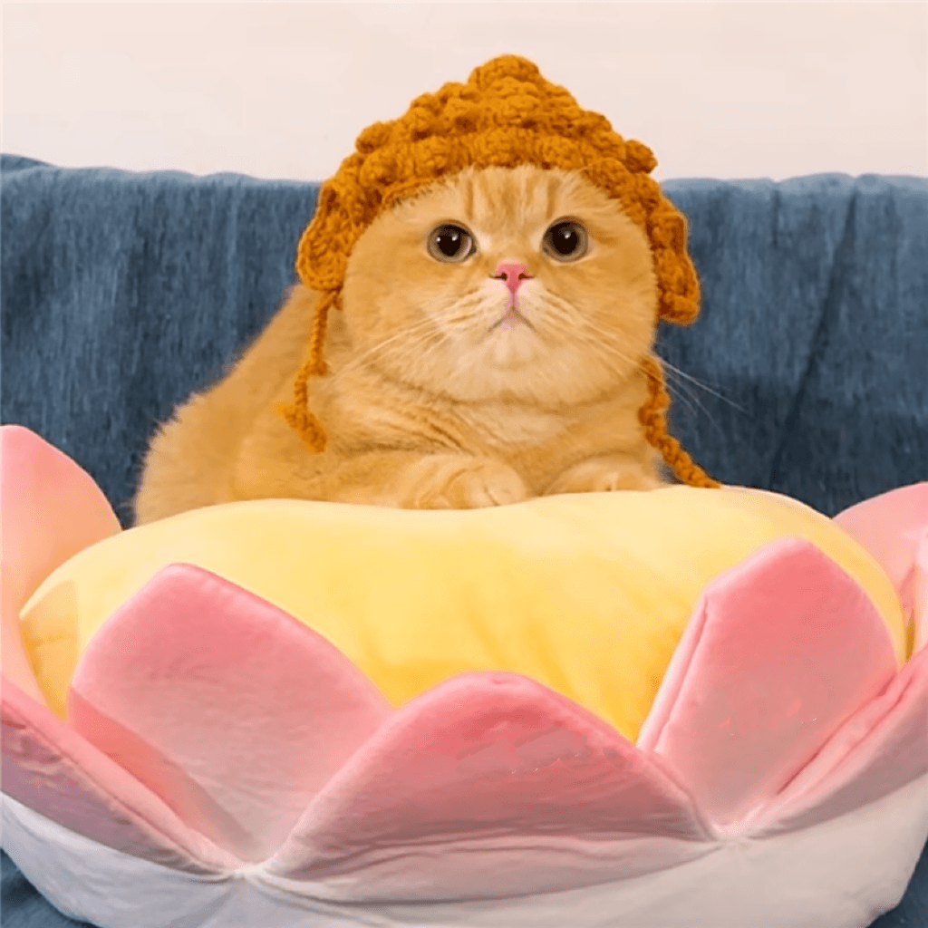 猫服  帽子 | ぽこぽこニット帽 猫用あったかキャップ