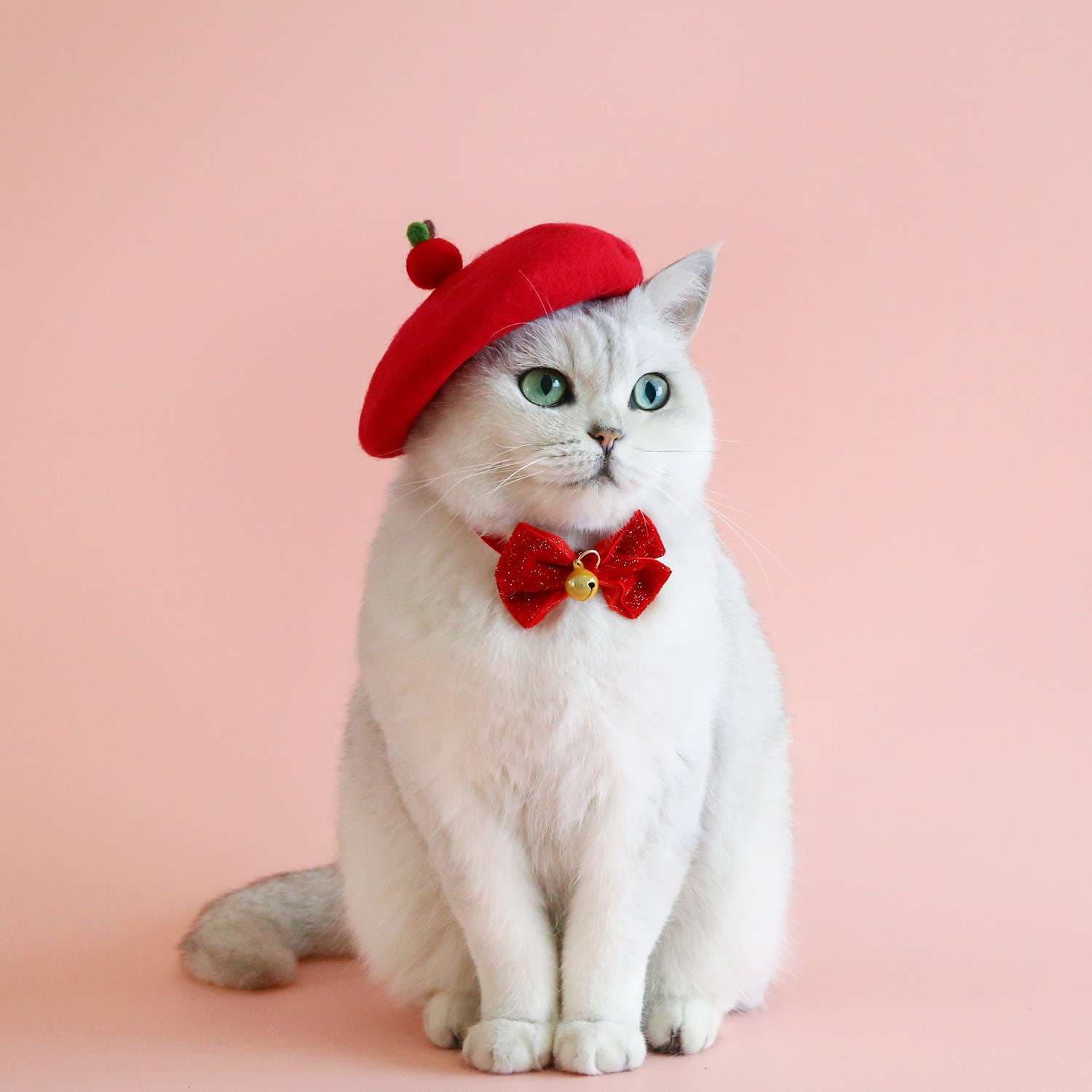 猫服  帽子 | お花のベレー帽